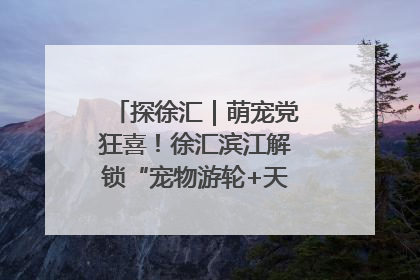 探徐汇｜萌宠党狂喜！徐汇滨江解锁“宠物游轮+天台乐园”双玩法